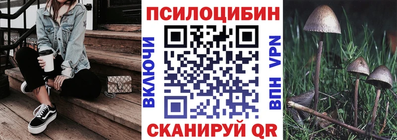 ОМГ ОМГ как войти  сколько стоит  Ангарск  Псилоцибиновые грибы мухоморы 