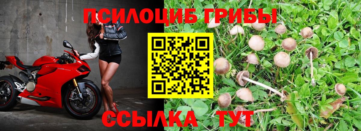 Псилоцибиновые грибы Magic Shrooms Ангарск