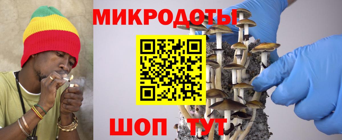 купить   Псилоцибиновые грибы GOLDEN TEACHER  Ангарск  Вход с VPN  Псилоцибиновые грибы GOLDEN TEACHER 